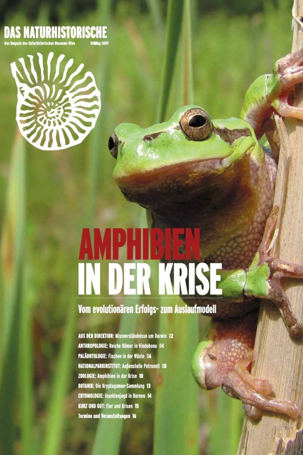 Frosch
                                 sitzt auf einem Ast vor unscharfem grünen Hintergrund. Im oberen Bereich sind Titel, Logo und Magazinüberschriften klar lesbar.
                                 (KI-generierter Alt-Text, erstellt mit GPT-4.1-mini)