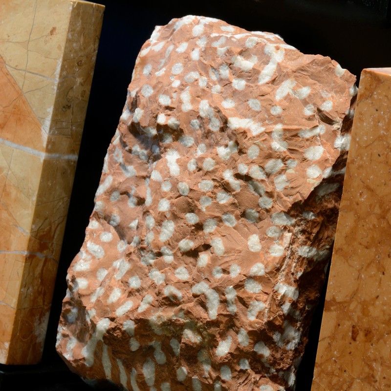 Reddish rock with irregularly spaced white spots placed between two polished, light brown stones. (AI-generated
                                 alt-text, generated with GPT-4.1-mini)