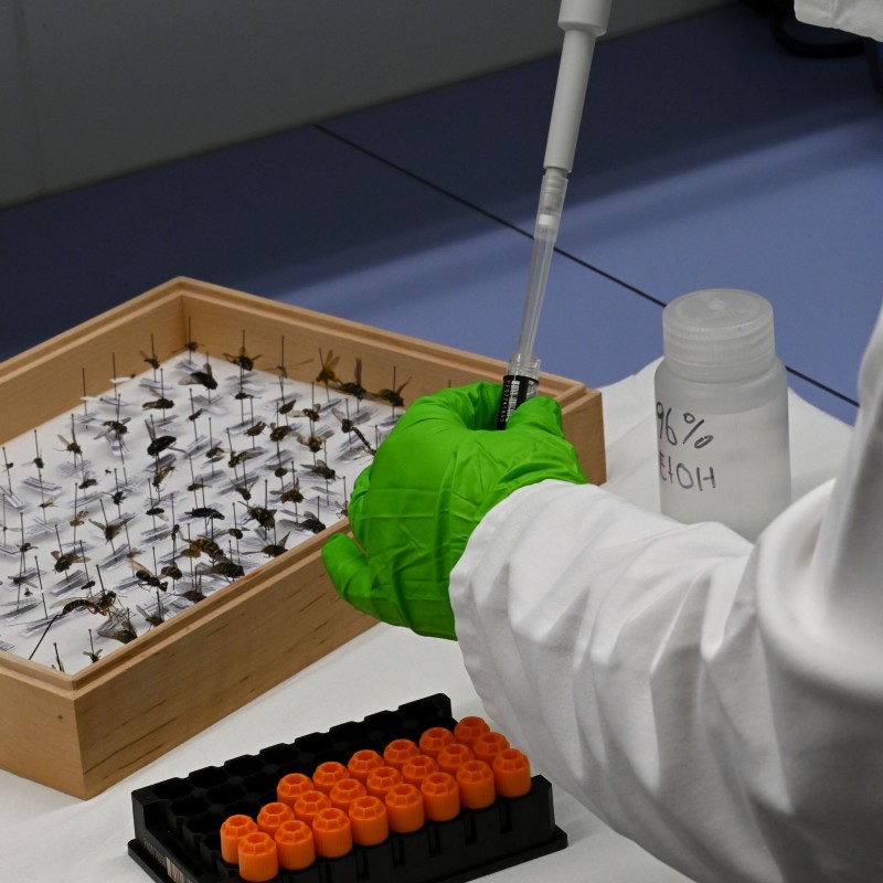 Eine Person in weißem Laborkittel und grünen Handschuhen hält eine Pipette über einem
                                 Tablett mit orangefarbenen Reagenzgläsern. Daneben steht ein Holzkasten mit zahlreichen präparierten Insekten, die auf Nadeln
                                 befestigt sind. Im Hintergrund ist ein weißer Behälter mit der Aufschrift 
