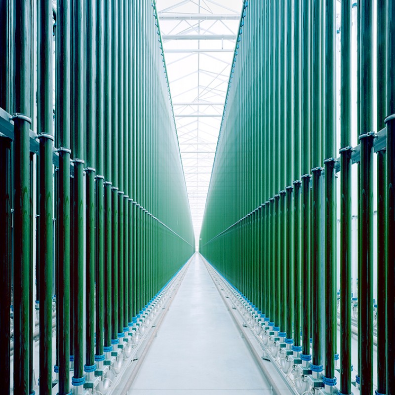 Algenfarm, Bruck an der Leitha, Österreich, 2023