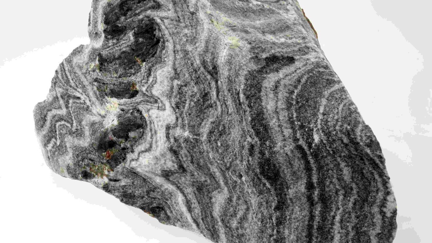 : Marmor (hell) mit Lagen aus Amphibolit (dunkel) Atzelsdorf, Niederösterreich. Gebildet vor 340 Millionen Jahren in einer Tiefe von 30 km bei 750°C; Geschenk: Hengl Mineral GmbH.
© NHM Wien, Alice Schumacher
