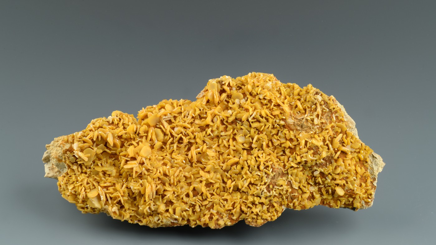 Yellowish-brown wulfenite crystals cover an irregularly shaped rock surface. (AI-generated alt-text, generated with
                                 GPT-4.1-mini)