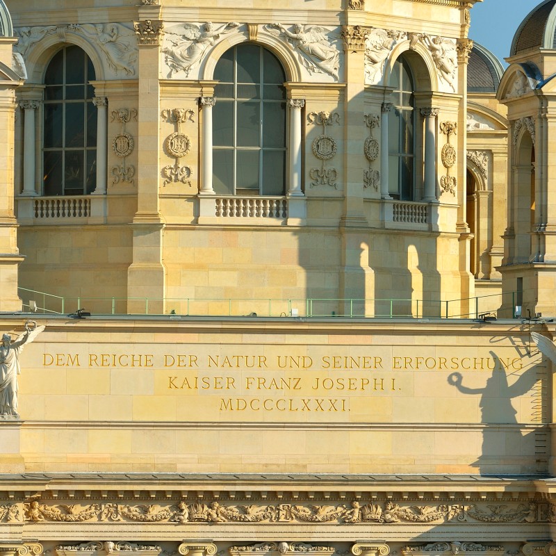 Detailansicht der Fassade des Naturhistorischen Museums Wien mit Engelskulpturen und goldener Inschrift. (KI-generierter
                                 Alt-Text, erstellt mit GPT-4.1-mini)