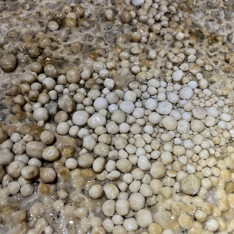 Nahaufnahme von zahlreichen kleinen, rundlichen Sinterperlen auf feuchtem Untergrund in der Lurgrotte. (KI-generierter
                                 Alt-Text, erstellt mit GPT-4.1-mini)