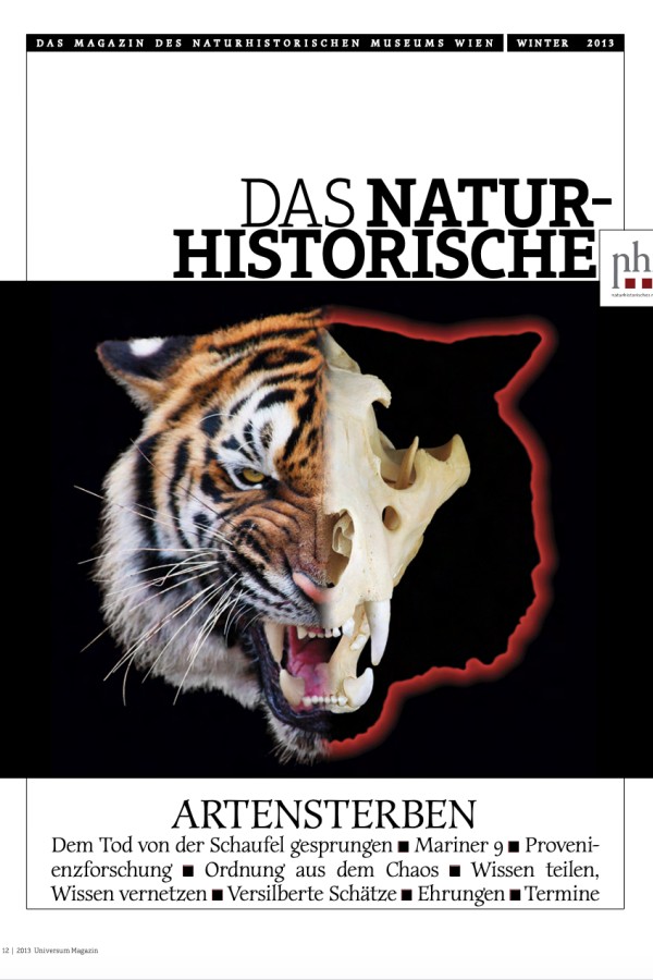 Tigerkopf, zur Hälfte aus realem Tier und zur Hälfte als Skelett, vor schwarzem Hintergrund (KI-generierter Alt-Text,
                                 erstellt mit GPT-4.1-mini)