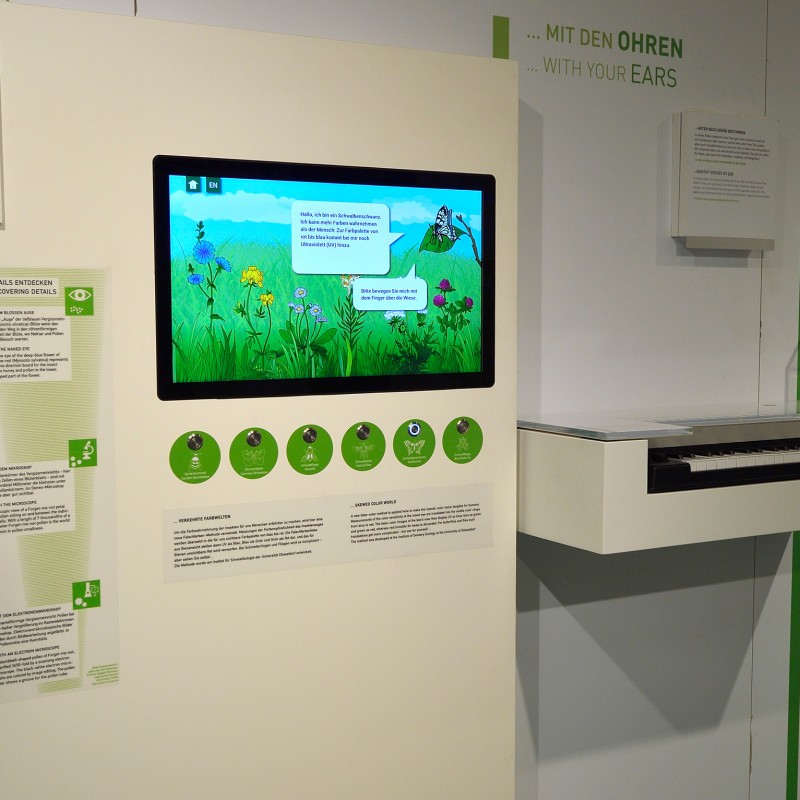 Ausstellungswand mit mehreren Texttafeln, drei Fotos von Pflanzen und Beeren, einer Infotafel mit stilisierter Wiese
                                 auf Bildschirm und Apfelmodellen auf einer weißen Abstellfläche. (KI-generierter Alt-Text, erstellt mit GPT-4.1-mini)