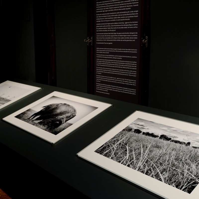 Three framed black-and-white photographs of animals in a display case with explanatory wall text in the background.
                                 (AI-generated alt-text, generated with GPT-4.1-mini)