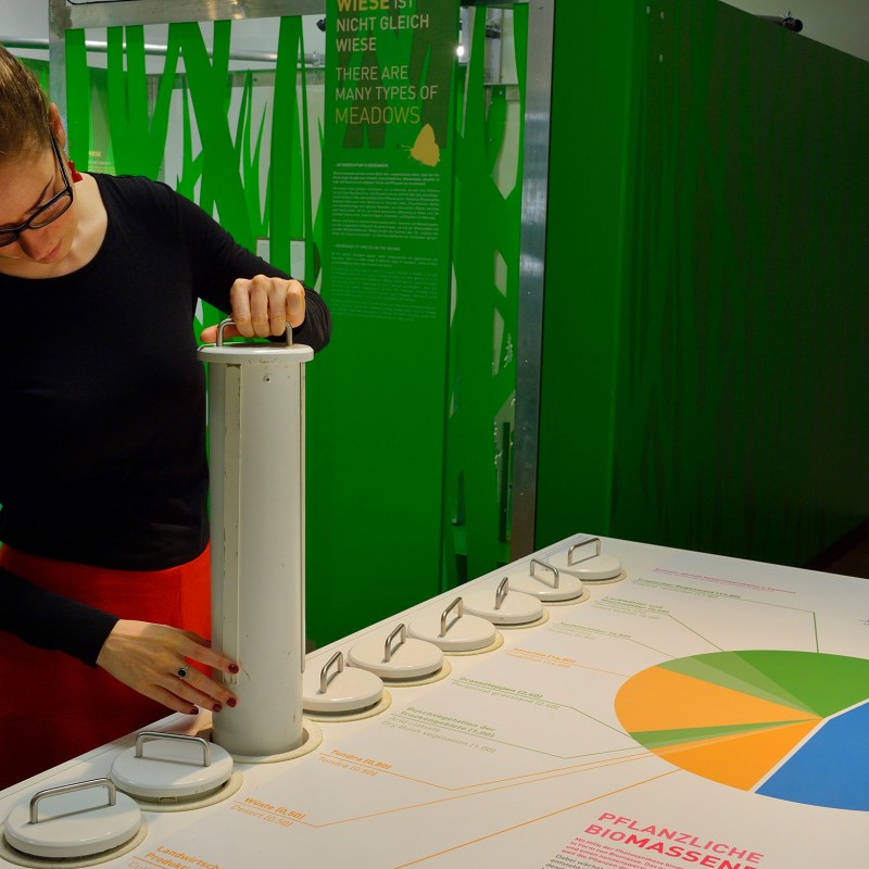 Junge Frau mit Brille und zusammengebundenen Haaren steht an einem Ausstellungstisch mit Kreisdiagramm und Bediengriffen.
                                 (KI-generierter Alt-Text, erstellt mit GPT-4.1-mini)