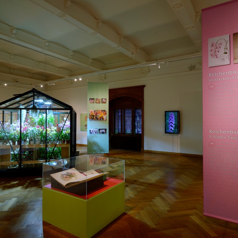 Exhibition room with glass case filled with orchids, large information panels, a display showcase, and a window
                                 in the background. (AI-generated alt-text, generated with GPT-4.1-mini)