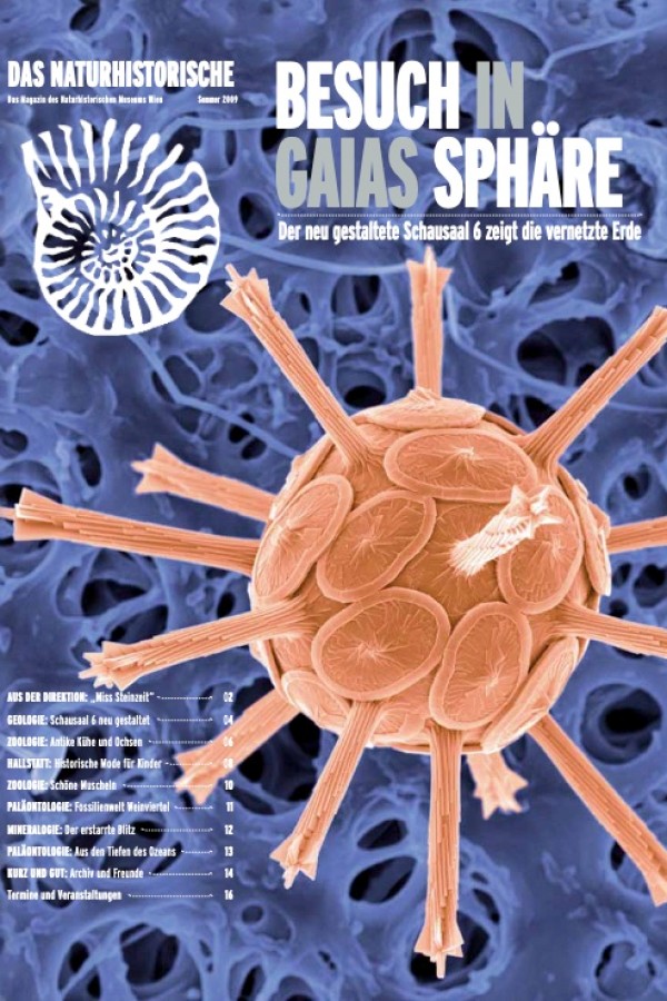 Braun-orange
                                 Struktur mit stachelartigen Ausläufern vor blauem, porösem Hintergrund. Titeltext und weitere Überschriften in weiß und blau.
                                 (KI-generierter Alt-Text, erstellt mit GPT-4.1-mini)
