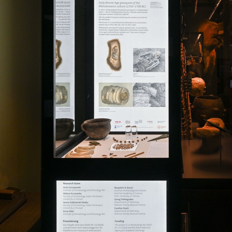 Neue Vitrine mit Schmuck aus Gräbern der frühen Bronzezeit im NHM Wien