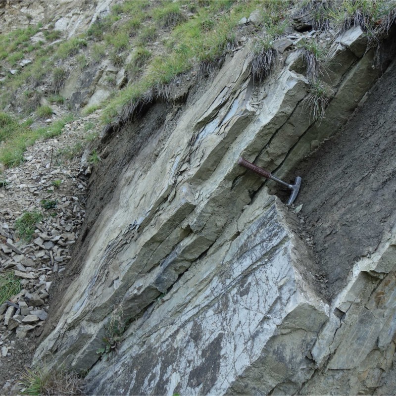 Kreideschichten in Kaltenleutgeben (Alexander Lukeneder): Kreideschichten in Kaltenleutgeben (Alexander Lukeneder)