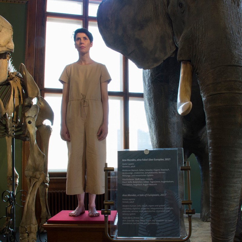 Life-sized human model in beige clothing stands with a neutral expression on a platform between an elephant skeleton
                                 and a taxidermy elephant. An information panel is positioned in front. (AI-generated alt-text, generated with GPT-4.1-mini)