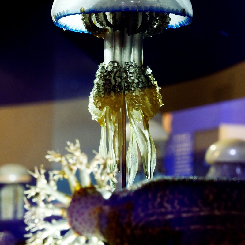 Large glass jellyfish model with translucent bell and delicate tentacles, displayed in a showcase. (AI-generated
                                 alt-text, generated with GPT-4.1-mini)