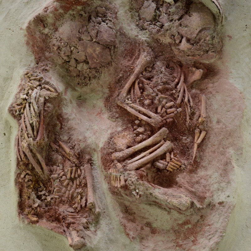 Two side-by-side skeletons of infants in an earth pit, bones partially preserved, surrounded by light-colored soil.
                                 (AI-generated alt-text, generated with GPT-4.1-mini)