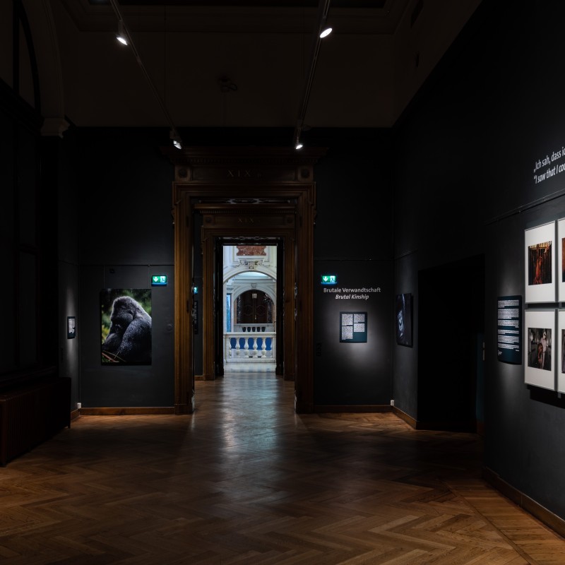 Dim exhibition room with large nature photographs on the walls, wooden floor, open doorway in the background. (AI-generated
                                 alt-text, generated with GPT-4.1-mini)