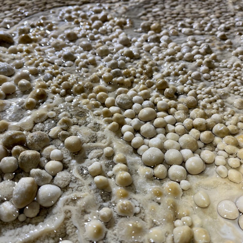 Zentimetergroße, helle Sinterperlen liegen dicht an dicht auf einer feuchten Steinoberfläche. (KI-generierter Alt-Text,
                                 erstellt mit GPT-4.1-mini)