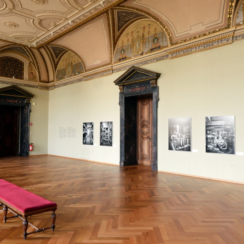 Ausstellung Insides im Saal 21; © NHM Wien, Alice Schumacher