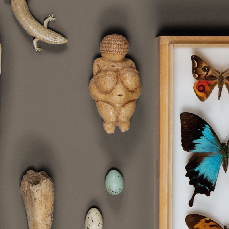 Plakat zur Ausstellung 