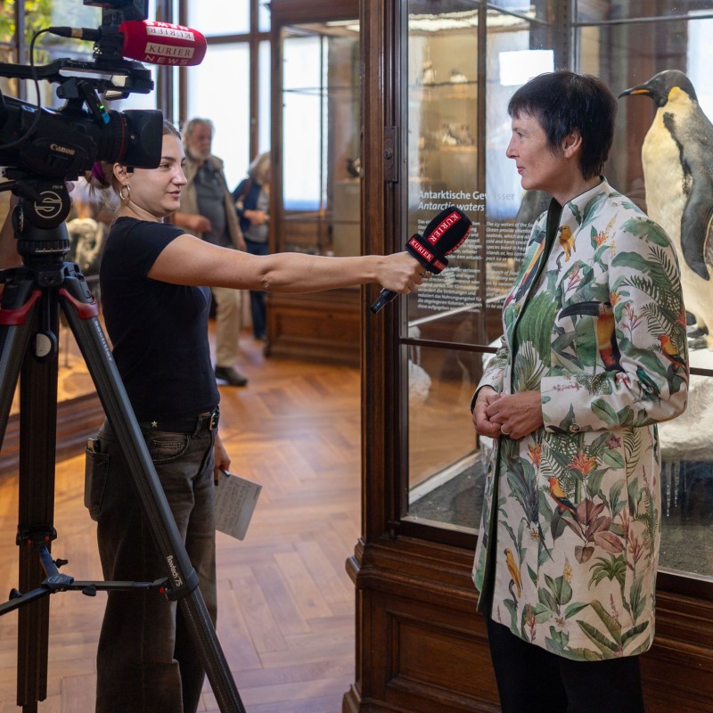 Kurier TV interviewt Katrin Vohland