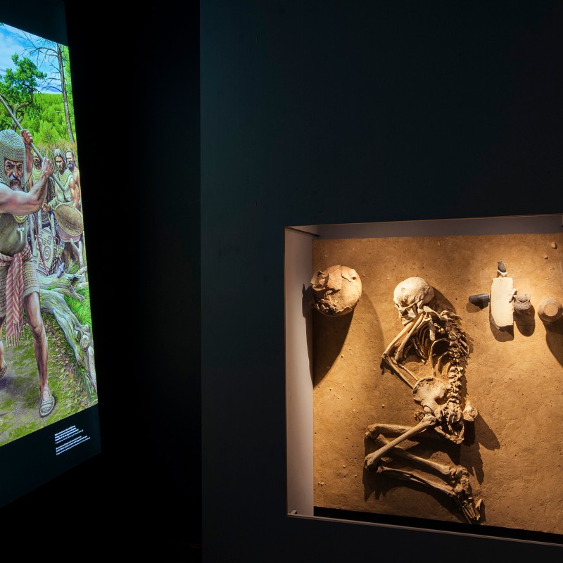 Display case with a human skeleton in a crouched position, skull, pottery vessels, and tools; next to it, illuminated
                                 illustration of a group of warriors with spears. (AI-generated alt-text, generated with GPT-4.1-mini)