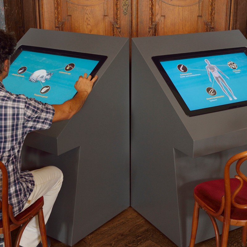 Man with curly hair and checked short-sleeve shirt sits in front of two large touchscreens displaying natural history
                                 illustrations. (AI-generated alt-text, generated with GPT-4.1-mini)
