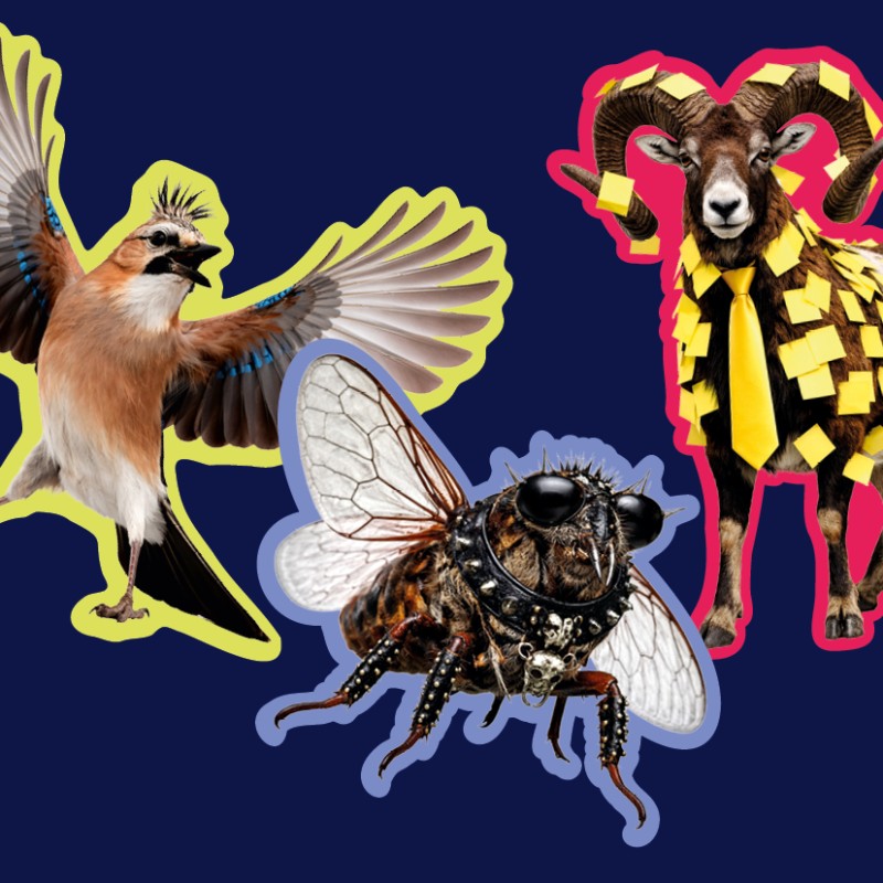 Grafisch bearbeitete Tiere