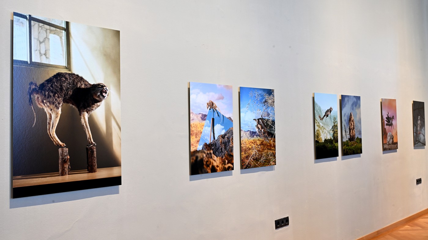 'Testimonies of Destruction' photo
series by Klaus Pichler © NHM Vienna, Chloe Potter