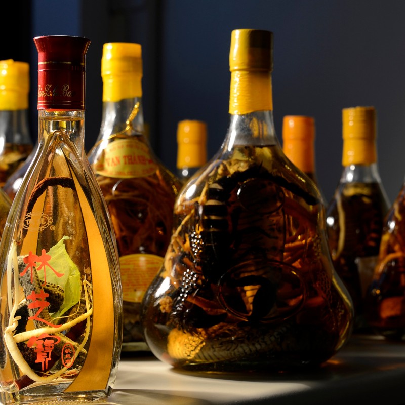 Bottle with golden liquid and preserved animal in front, several similar bottles in the background. (AI-generated
                                 alt-text, generated with GPT-4.1-mini)