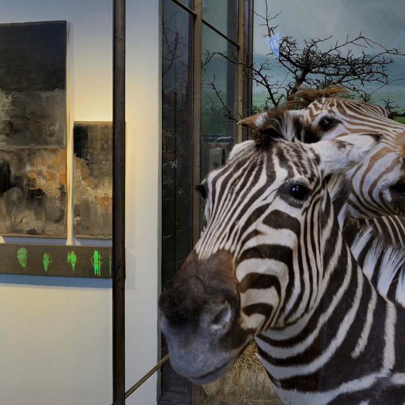 Two taxidermy zebras in a museum display room in front of a showcase with dark multi-panel artwork and a savanna
                                 painting. (AI-generated alt-text, generated with GPT-4.1-mini)