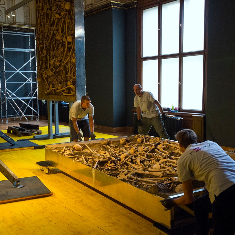 Four men push a platform with multiple human skeletons across a yellow floor in an exhibition room with dark walls.
                                 In the background are scaffolding, a large object with bones, and a window. (AI-generated alt-text, generated with GPT-4.1-mini)