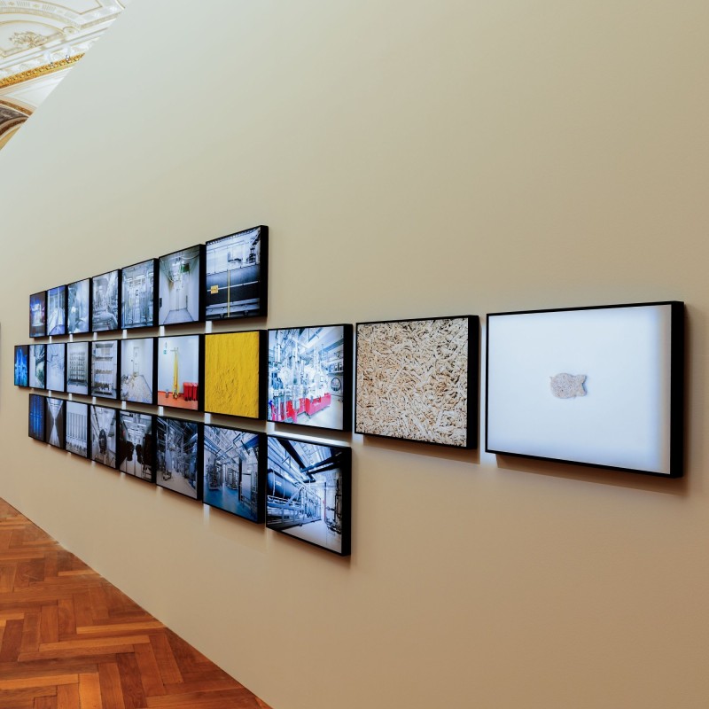 Bilder der Ausstellung 