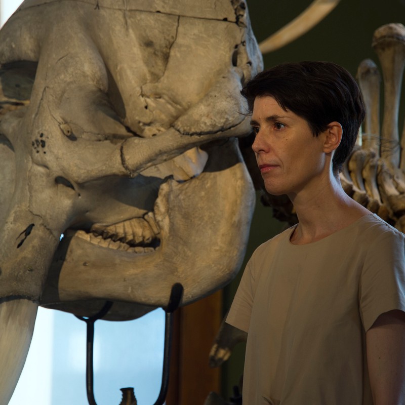 Woman with short dark hair stands calmly in front of a large, side-facing elephant skull in a museum. (AI-generated
                                 alt-text, generated with GPT-4.1-mini)