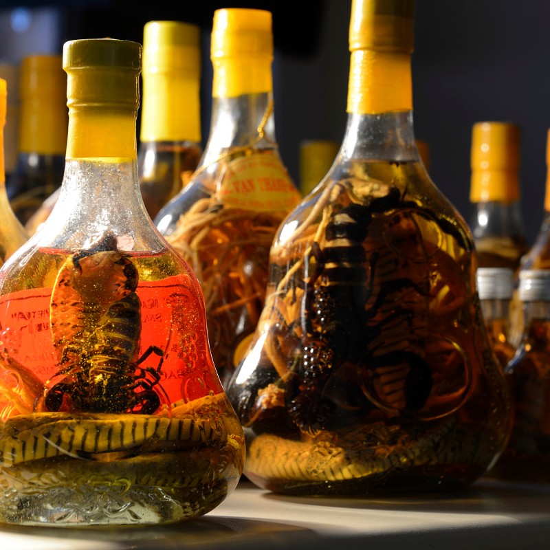 Several bulbous glass bottles with yellow caps, filled with liquid
                                 and preserved scorpions and snakes. (AI-generated alt-text, generated with GPT-4.1-mini)