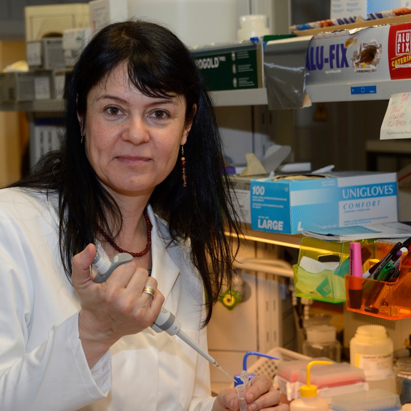 Woman in a white lab coat holds a pipette at a laboratory bench with lab supplies, glove boxes, test tubes, and
                                 equipment. (AI-generated alt-text, generated with GPT-4.1-mini)