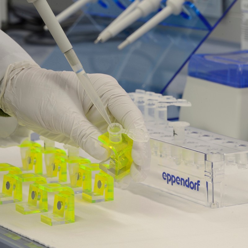 Hand mit Handschuh hält Pipette über kleines gelbes Laborgefäß, daneben weitere gelbe Gefäße und Eppendorf-Röhrchenhalter
                                 (KI-generierter Alt-Text, erstellt mit GPT-4.1-mini)