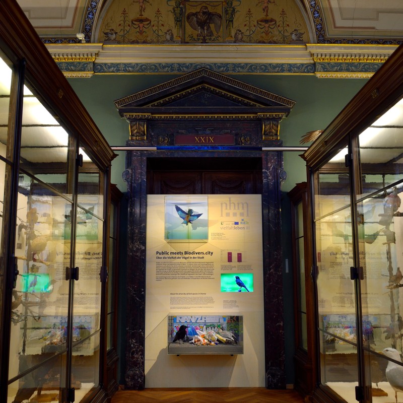 Museum exhibition with multiple display cases, informational panels, and a large ornate archway topped by a colorfully
                                 painted vaulted ceiling. (AI-generated alt-text, generated with GPT-4.1-mini)