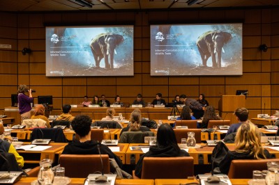 : Youth Dialogue des UNODC im Vienna International Centre (c) NHM Wien; Marietta Hengl