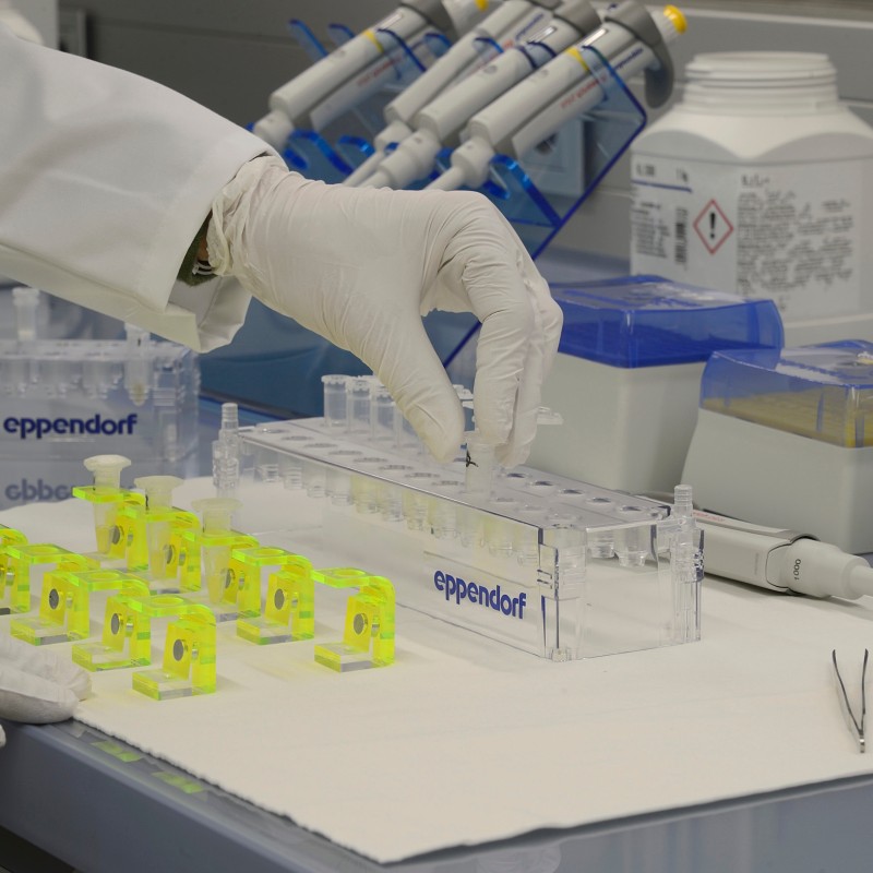 Gloved hand placing a small test tube into a transparent test tube rack labeled 'eppendorf' on a laboratory bench
                                 with other lab equipment. (AI-generated alt-text, generated with GPT-4.1-mini)