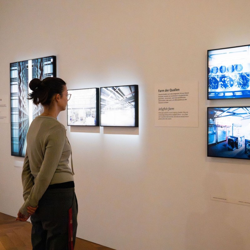 A visitor to the exhibition
                                 
