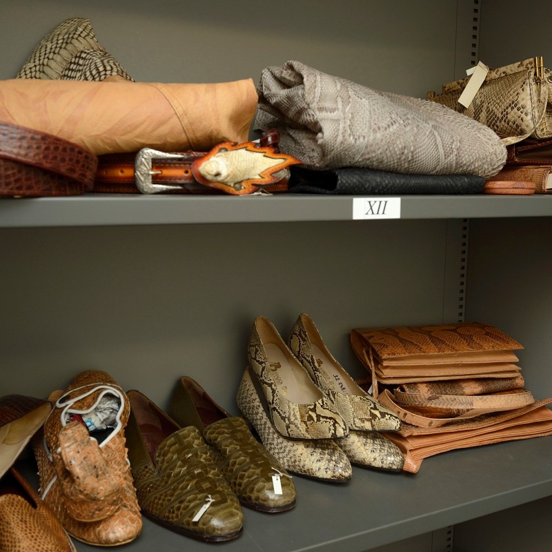 Shelf with belts, handbags, shoes, and wallets made from leather, some with a scaly texture. (AI-generated alt-text,
                                 generated with GPT-4.1-mini)