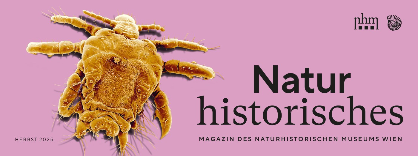 : Bild mit der Titelseite des Magazins Naturhistorisches