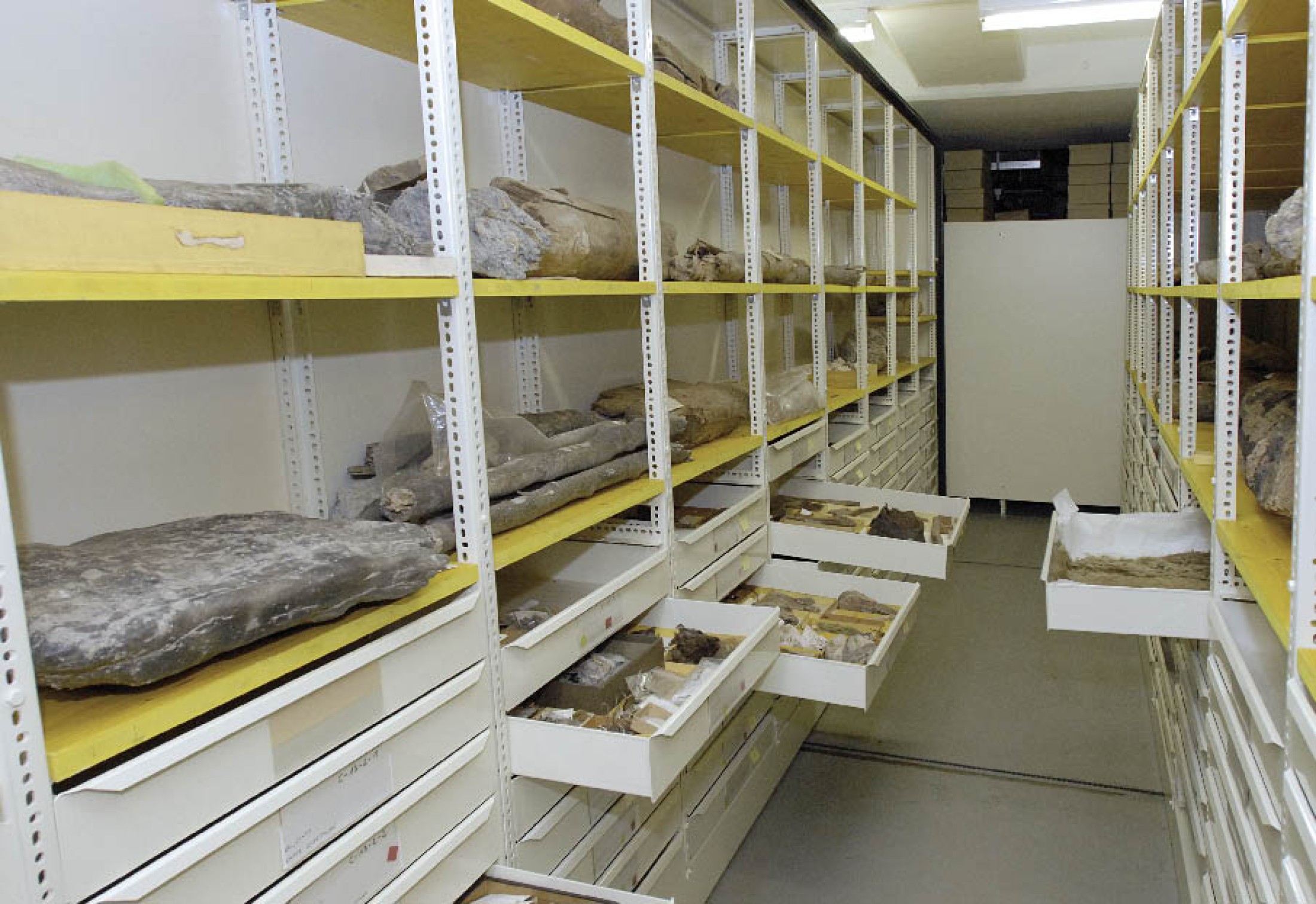 : Tiefspeicher des Naturhistorischen Museums in Wien. (Foto: A. W. Rausch - NHM Wien)