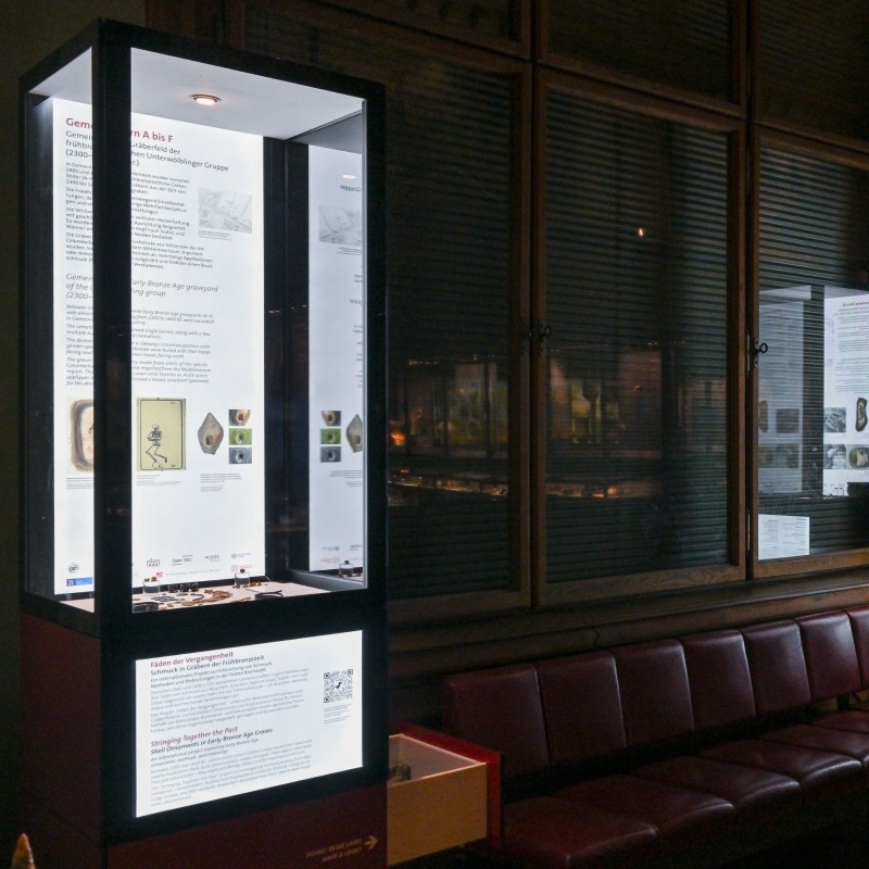 Neue Vitrinen mit Schmuck aus Gräbern der frühen Bronzezeit im NHM Wien