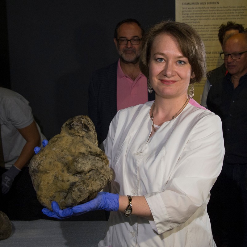 Person wearing white coat and blue gloves holds a large, crusty object. Other individuals with gloves stand in the
                                 background in a dark room. (AI-generated alt-text, generated with GPT-4.1-mini)