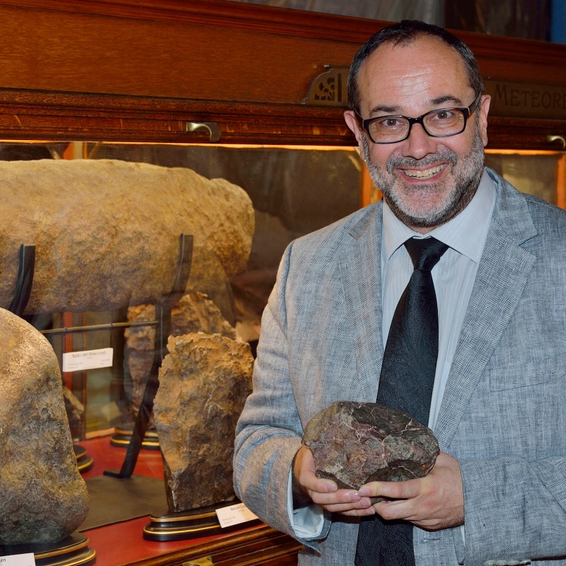 Mann mit kurzem Bart, Brille und grauem Sakko hält einen Stein und steht vor einer Vitrine mit mehreren Gesteinsbrocken.
                                 (KI-generierter Alt-Text, erstellt mit GPT-4.1-mini)
