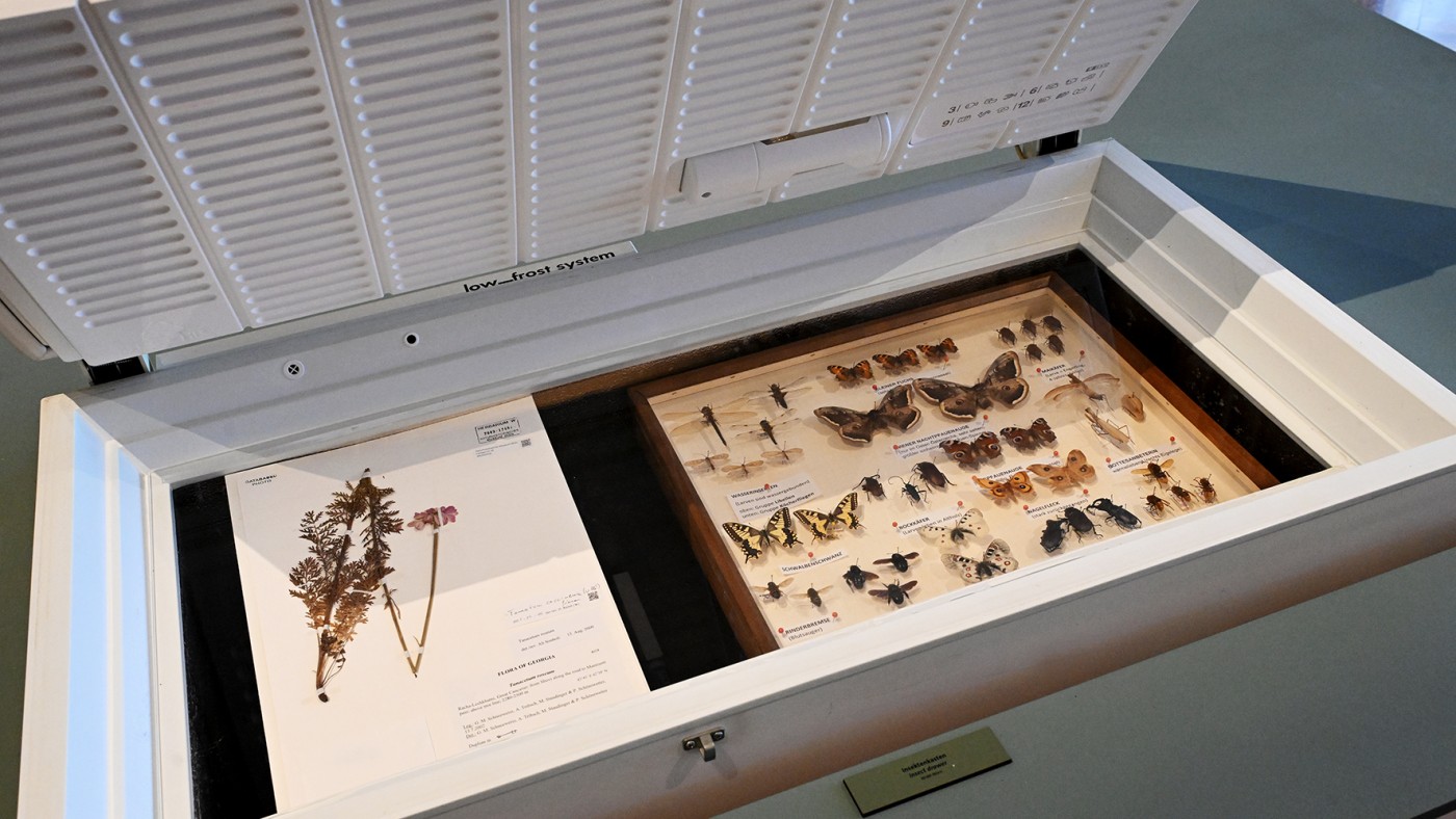 The exhibition shows
the modern & historical measures of protection © NHM Vienna, Chloe Potter