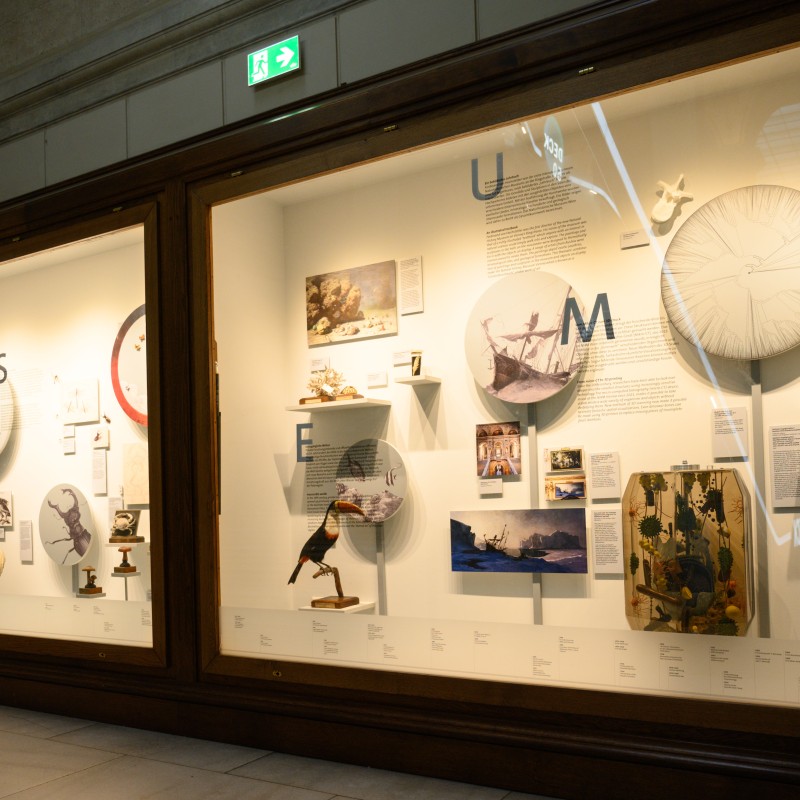 Große Vitrine mit verschiedenen Ausstellungsobjekten, Bildern, Modellen und Texttafeln an einer Museumswand. (KI-generierter
                                 Alt-Text, erstellt mit GPT-4.1-mini)