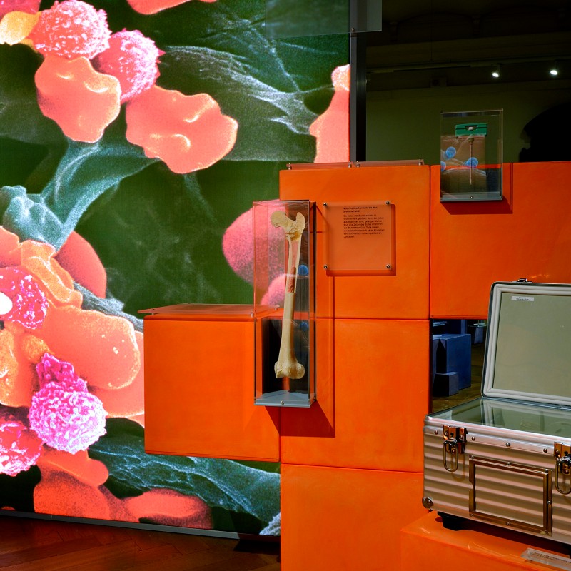 Leuchtend orange Displayelemente mit Knochenpräparat und metallischem Transportkoffer vor stark vergrößertem, farbigem
                                 Stammzellenbild. (KI-generierter Alt-Text, erstellt mit GPT-4.1-mini)