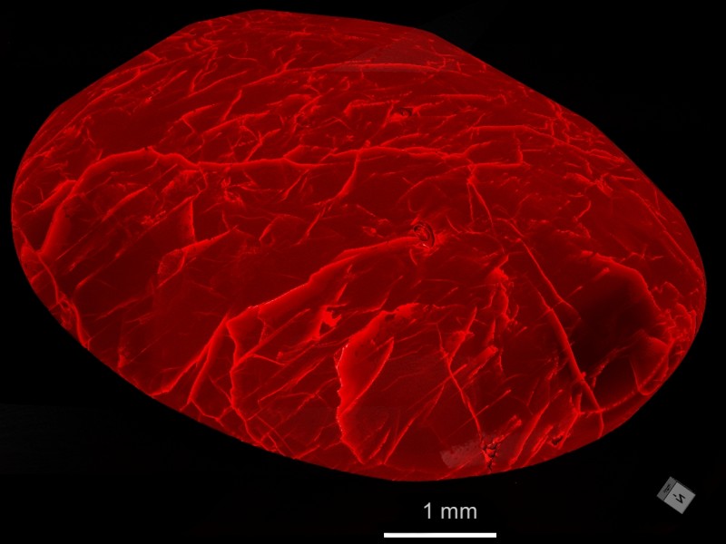 False color 3D rendering of a facetted ruby with lead glass filling to assess the quality of gemstones. Quick scan (4.62 µm / 20 min): False color 3D rendering of a facetted ruby with lead glass filling to assess the quality of gemstones. Quick scan (4.62 µm / 20 min)